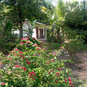 Sanjana Home Stay